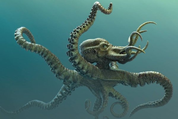 Ссылка на кракен krakens13 at