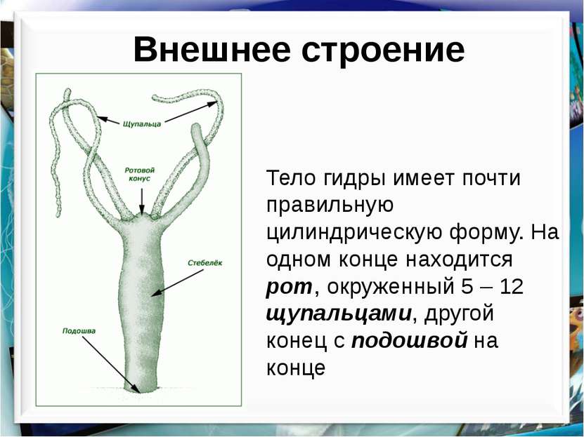 Кракен магазин vk2 top